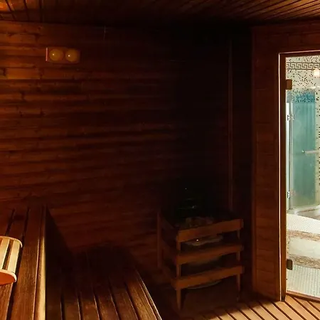 Dvorak & Wellness Готель 4*