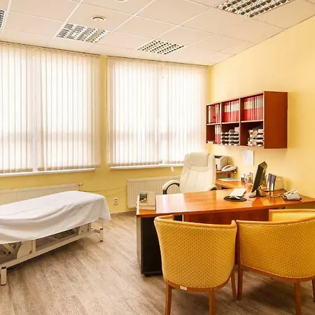 Dvorak & Wellness 4*